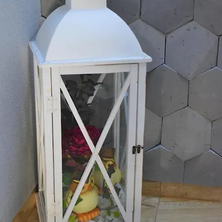 Jelonek Władysławowo