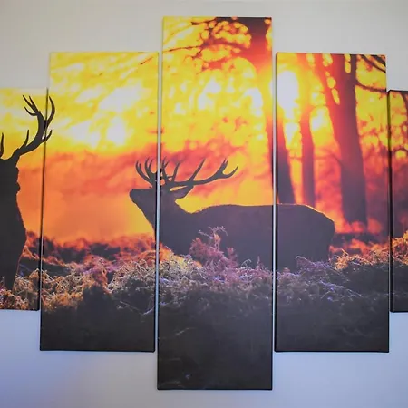 Jelonek * Władysławowo