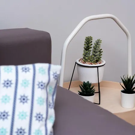 Jelonek 民宿 Władysławowo