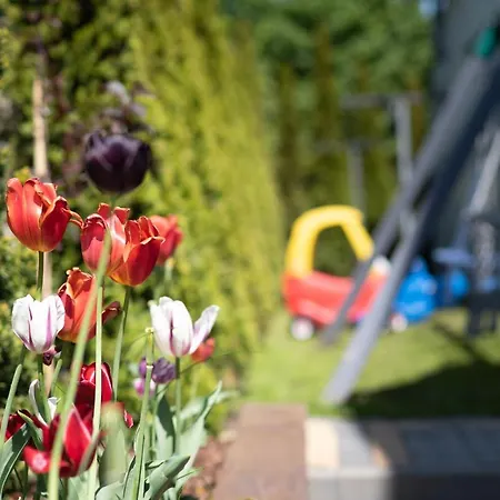 Jelonek Władysławowo