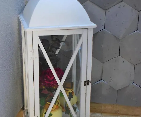 Jelonek Władysławowo