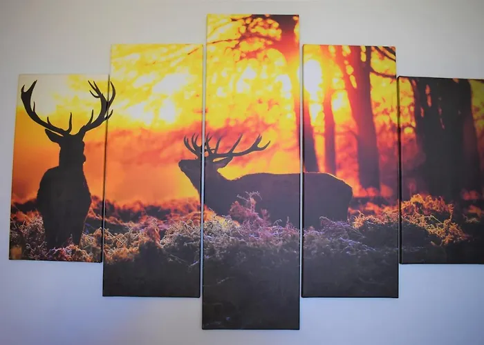 Jelonek * Władysławowo