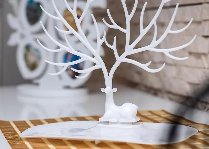 Jelonek Władysławowo