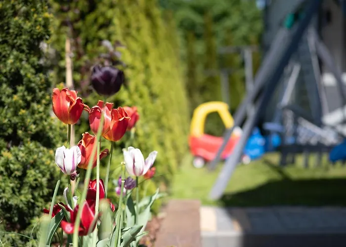 Jelonek Władysławowo